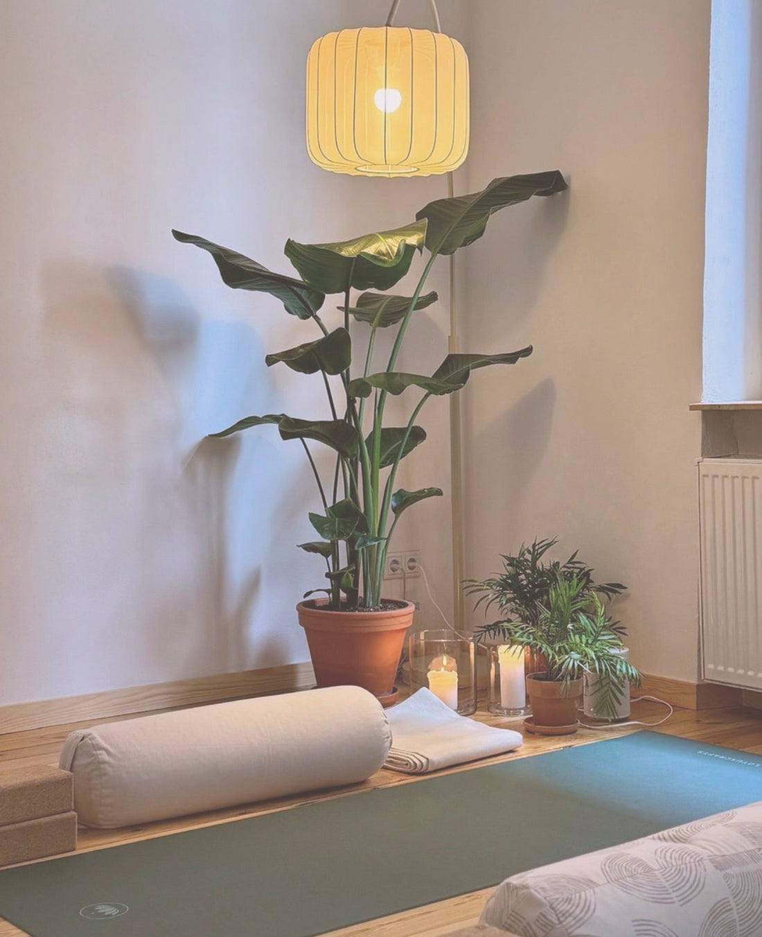 Event | Yoga trifft Grüntee | 19.9.2026 | Nürnberg